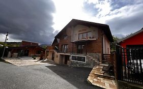 Vila Deluț